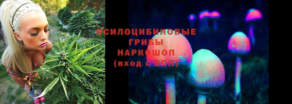 тгк Алзамай