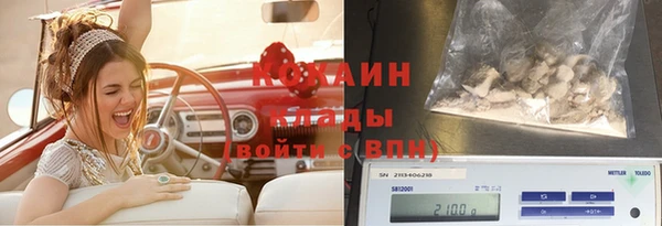 тгк Алзамай