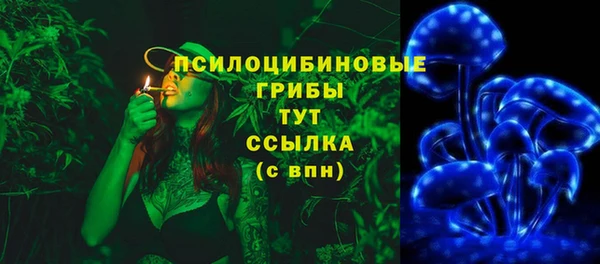 бошки Алексеевка