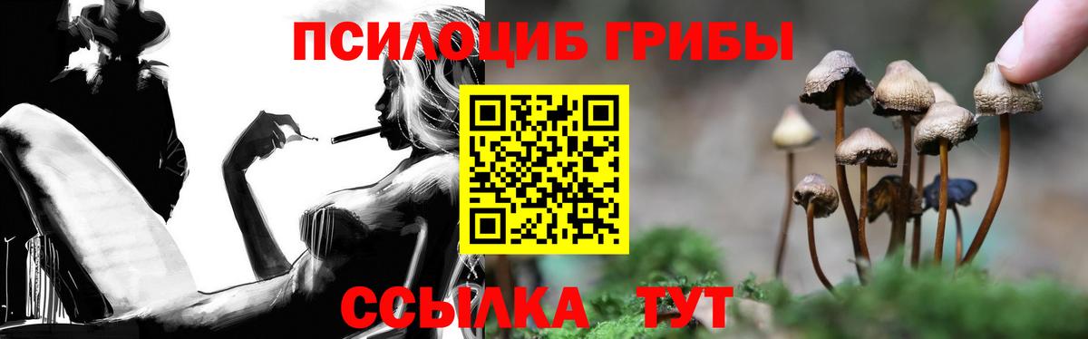 Галлюциногенные грибы Psilocybe Серпухов